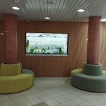 מערכת בולגריה