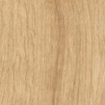 7019 – אלון מבוקע